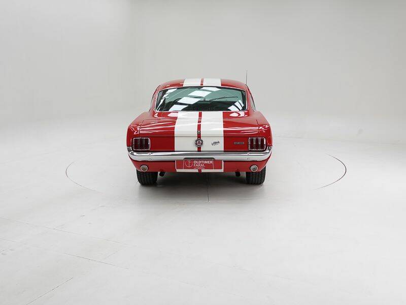 Image 7/15 of Ford Shelby GT 350 (1965)