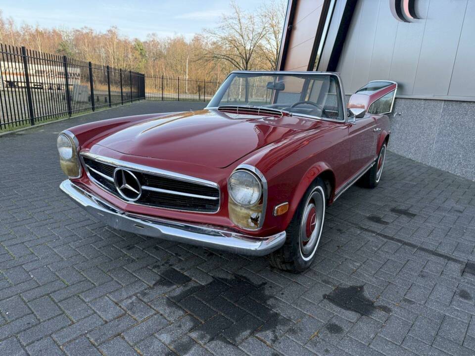 Image 6/36 of Mercedes-Benz 250 SL (1968)