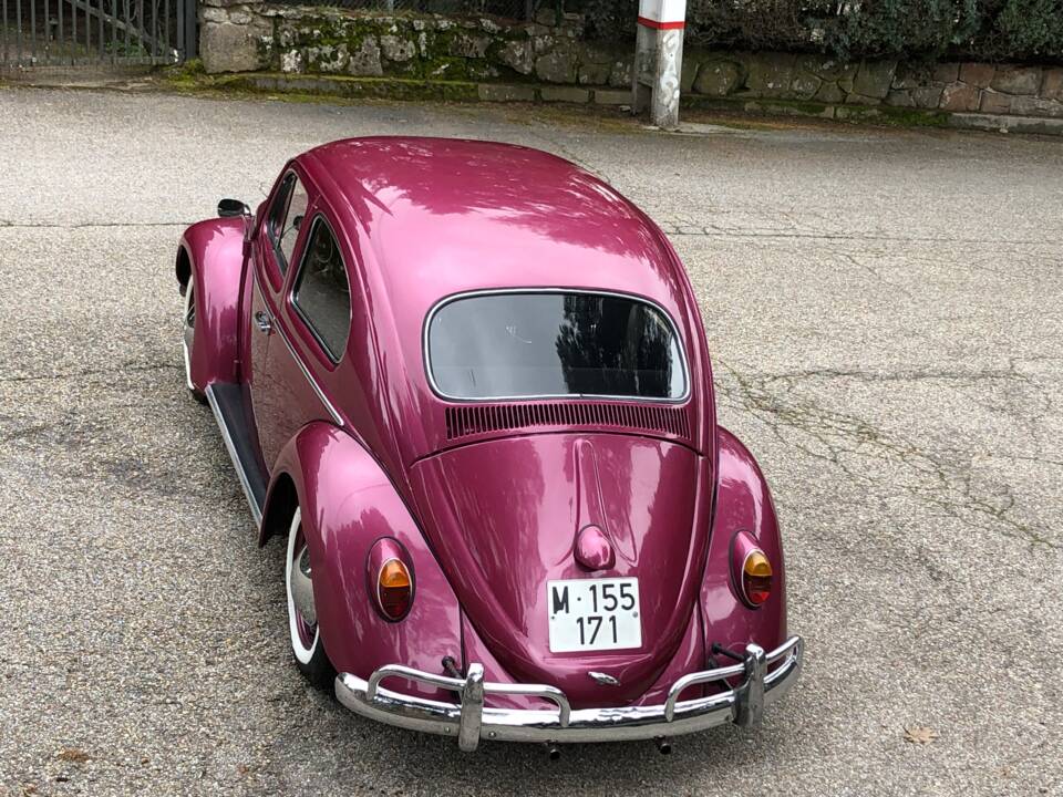Imagen 13/15 de Volkswagen Käfer 1200 Standard &quot;Ovali&quot; (1956)