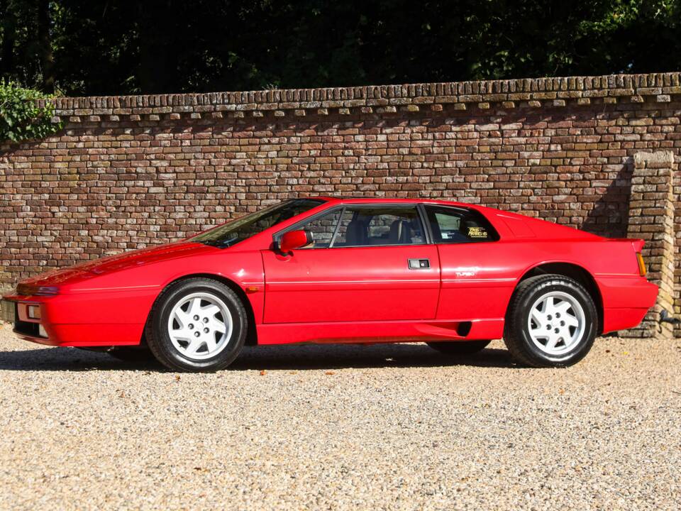 Image 19/50 of Lotus Esprit SE (1992)