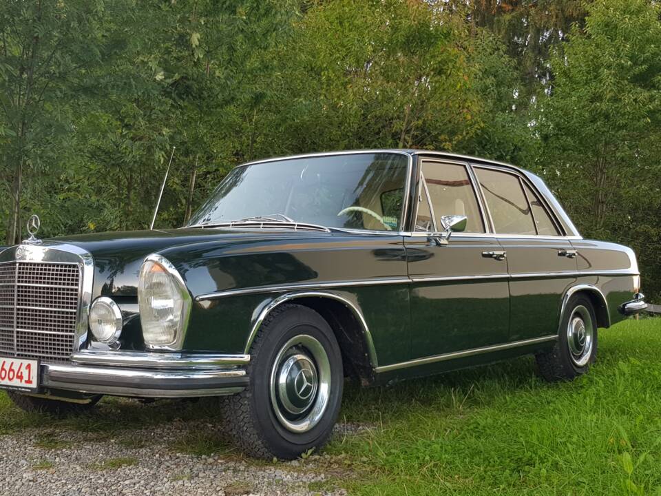 Image 6/19 of Mercedes-Benz 280 S (1968)