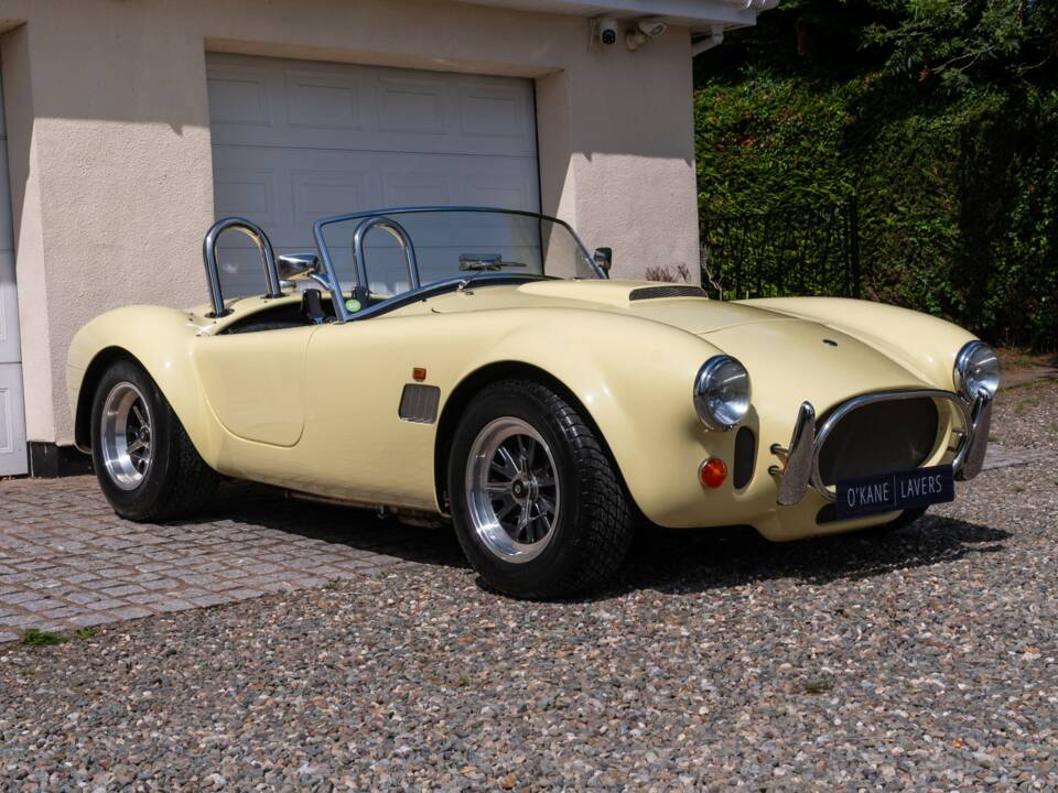 Bild 1/51 von AC Cobra 289 (1999)