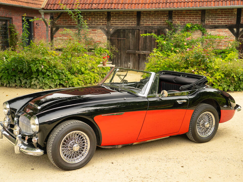 Immagine 7/62 di Austin-Healey 3000 Mk III (BJ8) (1965)