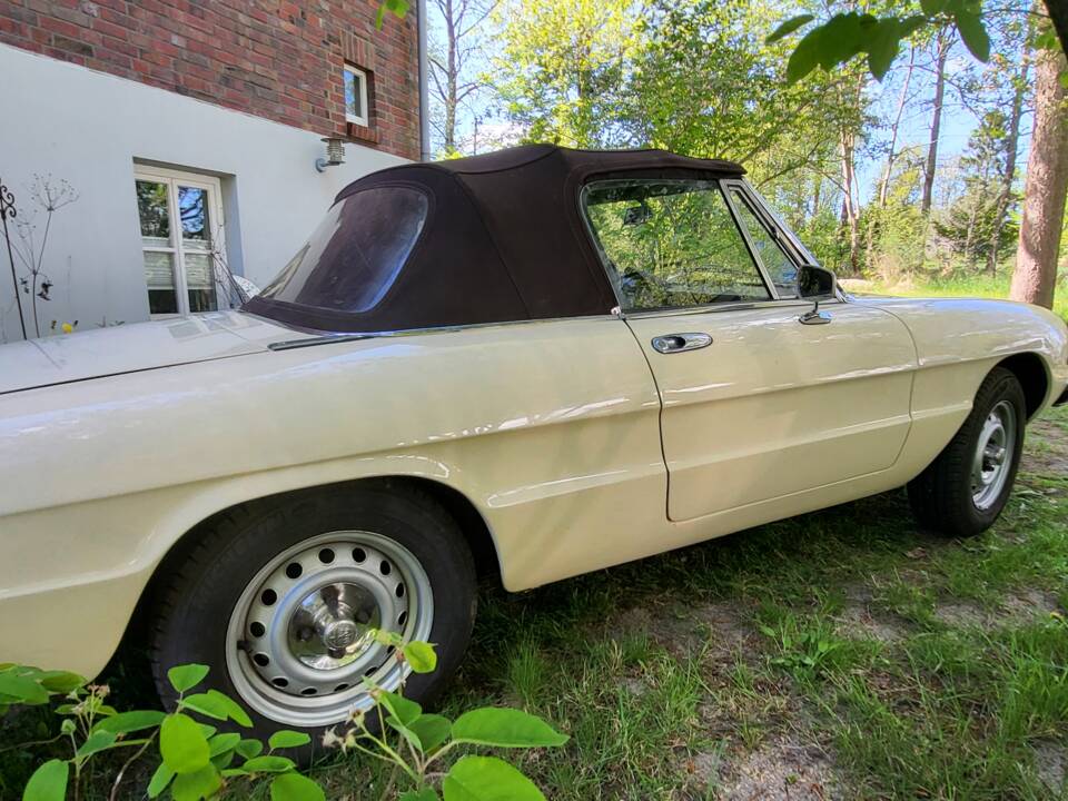 Image 5/37 of Alfa Romeo Spider Veloce 2000 (1982)