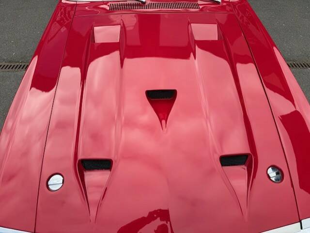 Image 23/31 of Ford Shelby GT 350 (1970)