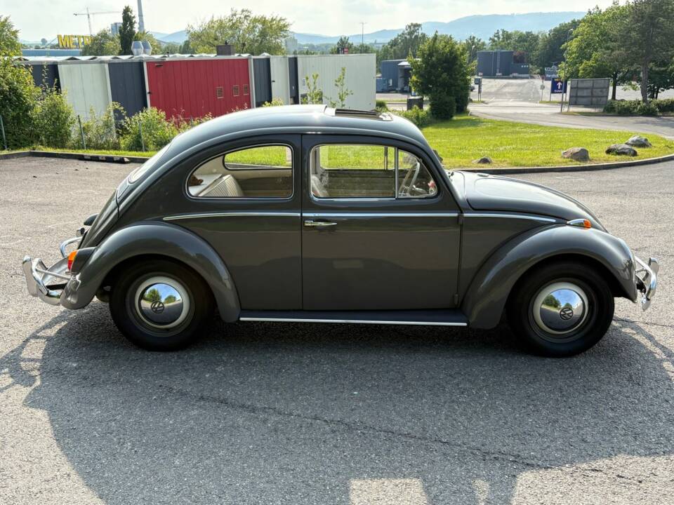 Imagen 19/48 de Volkswagen Coccinelle 1200 Export &quot;Dickholmer&quot; (1963)