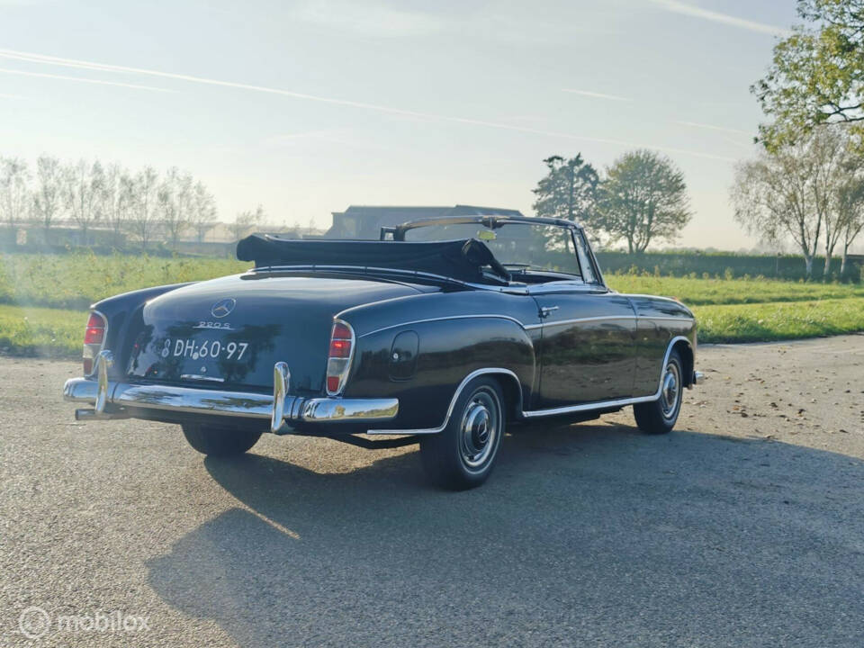 Immagine 10/49 di Mercedes-Benz 220 S Cabriolet (1958)