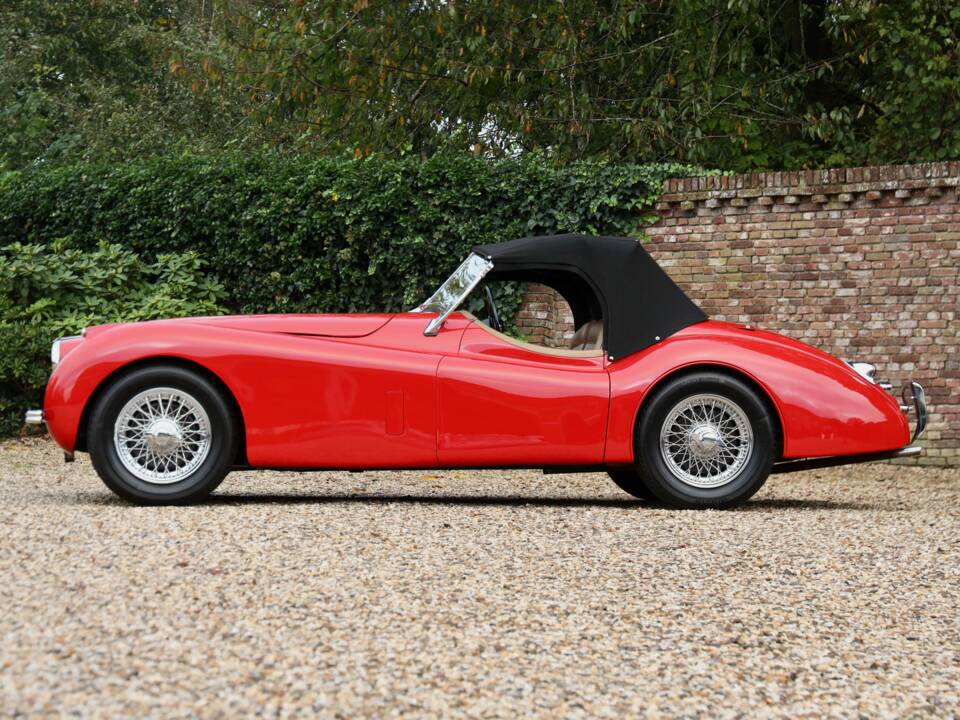 Image 12/50 of Jaguar XK 120 SE OTS (1954)