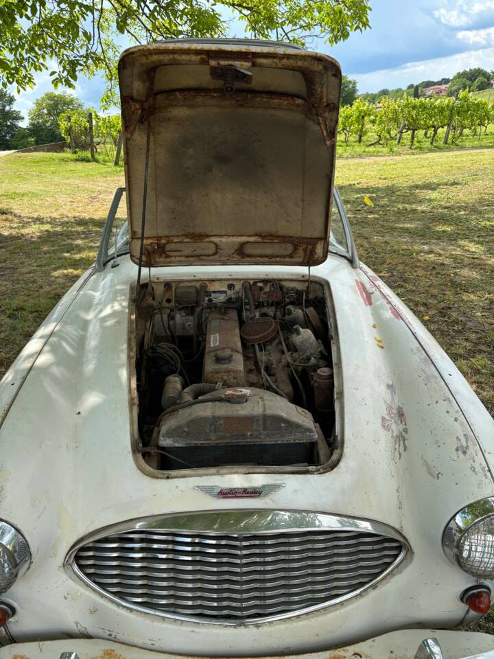 Bild 19/19 von Austin-Healey 3000 Mk I (BN7) (1960)
