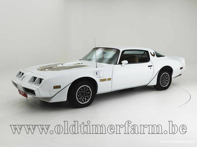 Afbeelding 1/15 van Pontiac Firebird Turbo TransAm (1981)