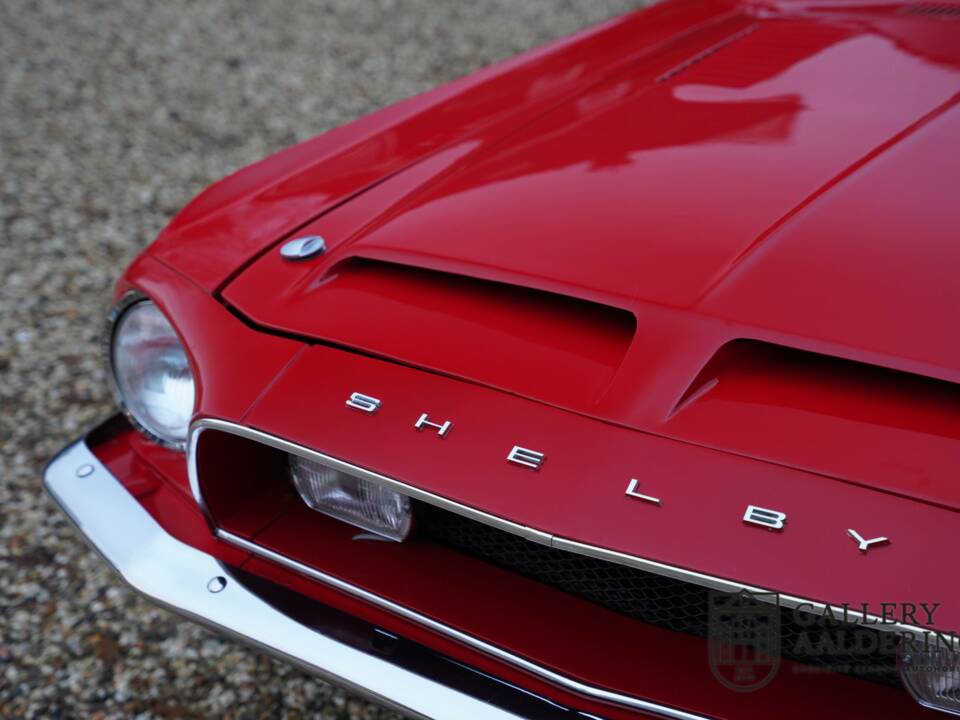 Bild 32/50 von Ford Shelby GT 350 (1968)