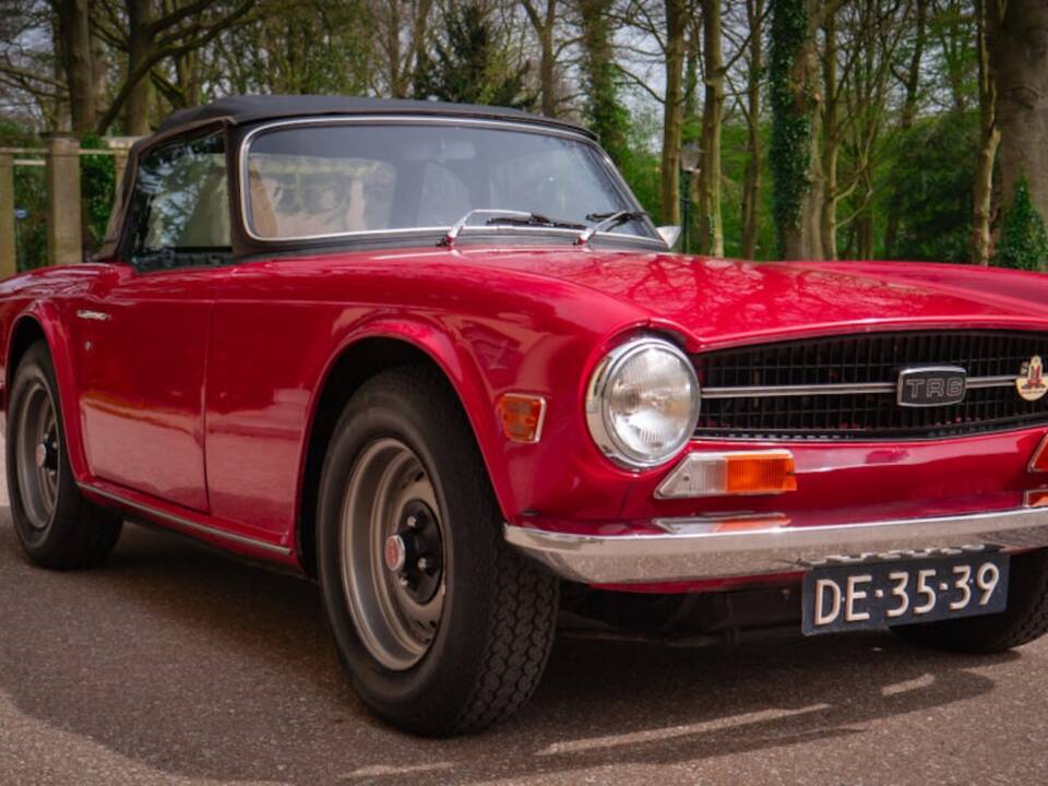 Bild 39/47 von Triumph TR 6 PI (1969)