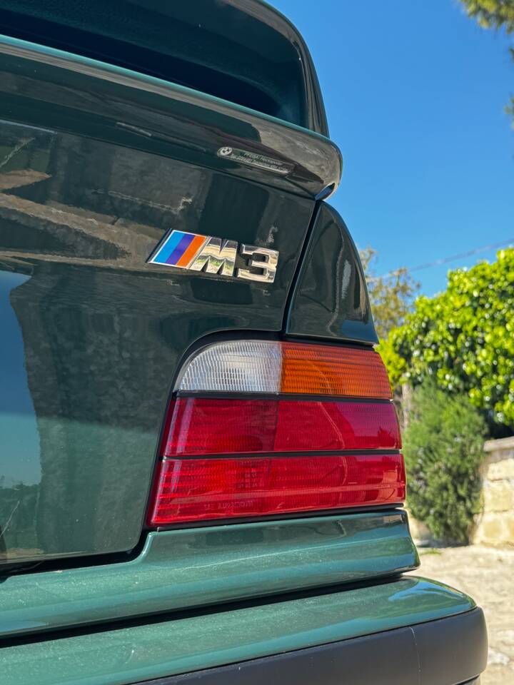 Immagine 45/82 di BMW M3 GT (1995)