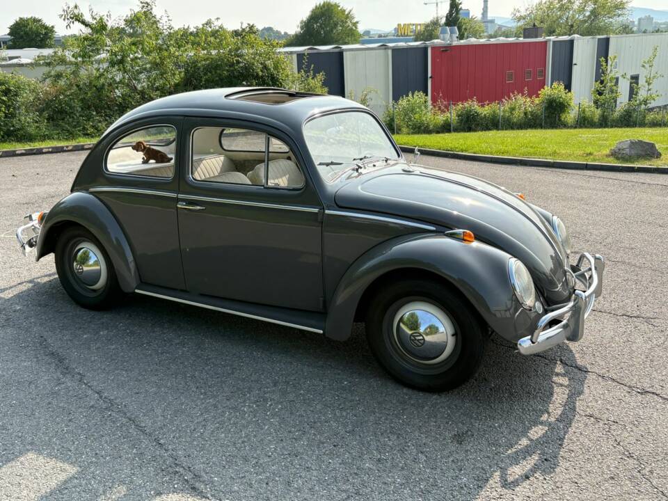 Imagen 21/48 de Volkswagen Coccinelle 1200 Export &quot;Dickholmer&quot; (1963)