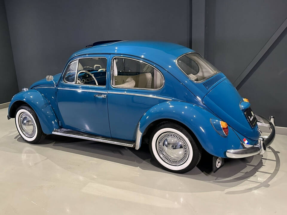 Bild 5/20 von Volkswagen Beetle 1200 A (1964)