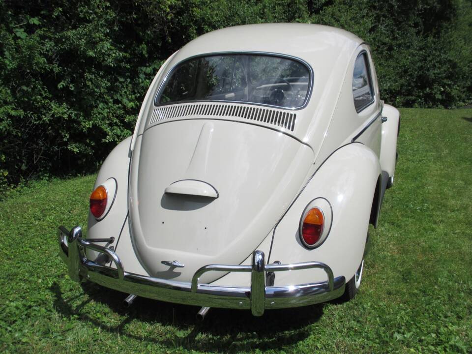 Image 22/39 of Volkswagen Maggiolino 1200 Export "Dickholmer" (1964)
