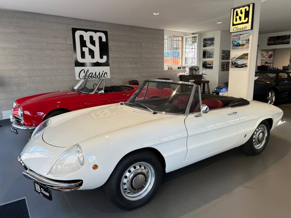 Afbeelding 14/15 van Alfa Romeo 1300 Spider Junior (1969)