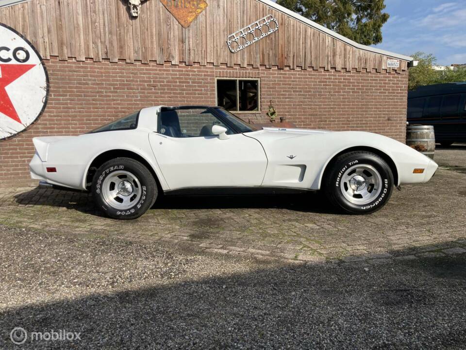 Afbeelding 29/50 van Chevrolet Corvette Sting Ray (1979)
