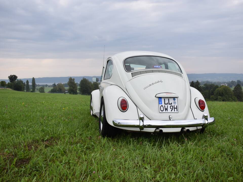 Bild 41/56 von Volkswagen Käfer 1300 (1968)