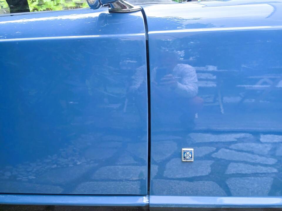 Image 19/51 of Triumph TR 6 (1975)