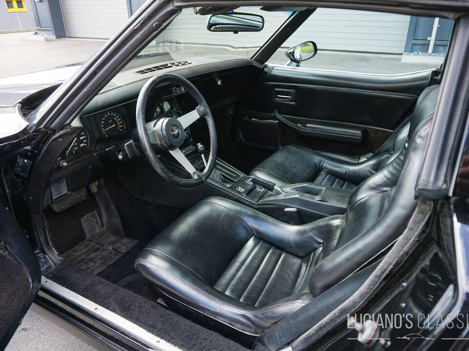 Bild 35/58 von Chevrolet Corvette Sting Ray (1979)