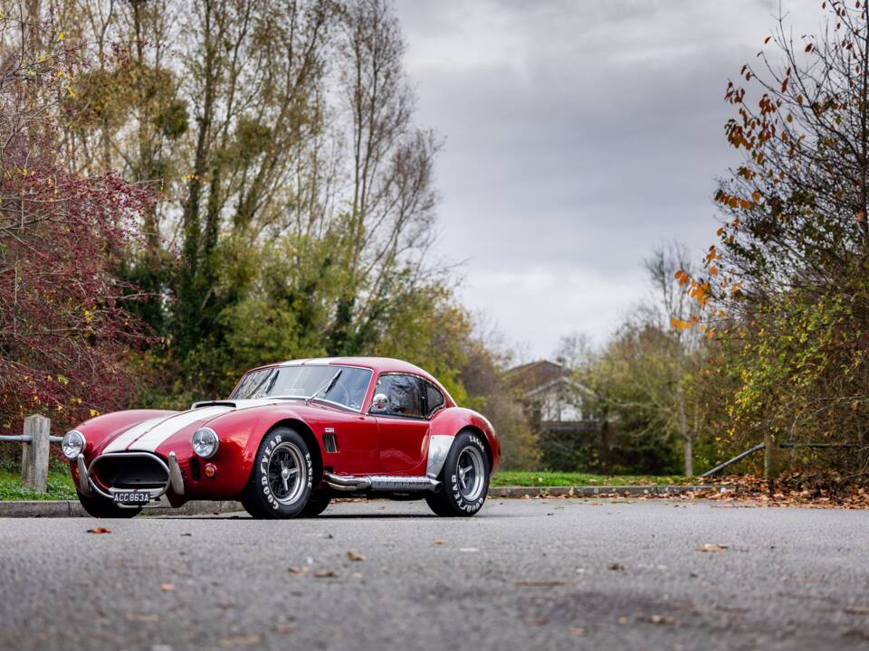 Afbeelding 15/50 van AC Cobra 289 (2000)