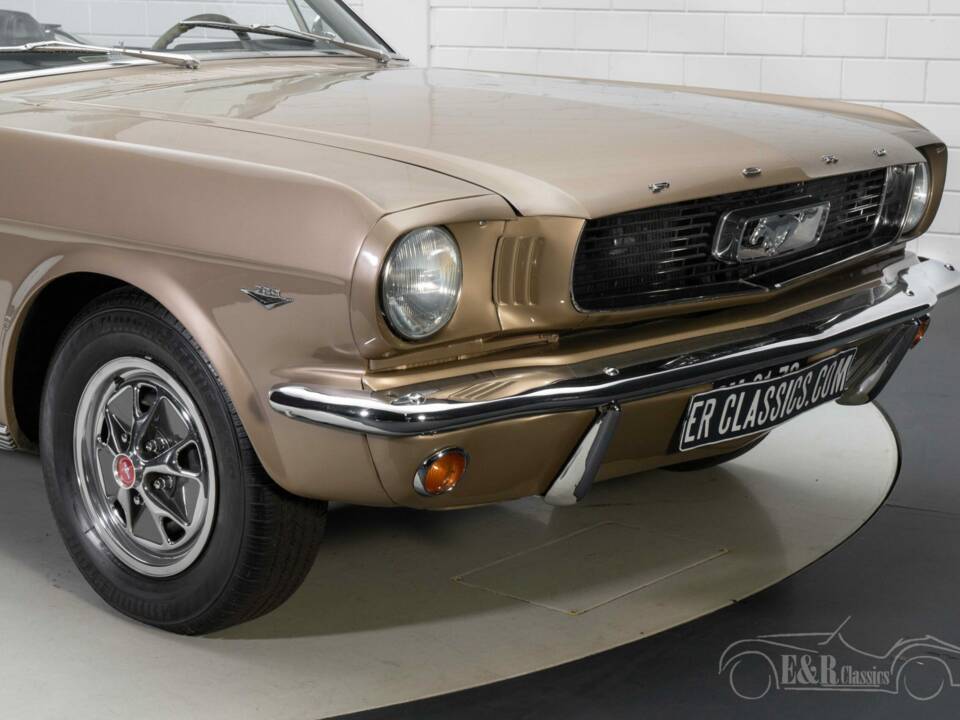 Immagine 2/8 di Ford Mustang 289 (1966)