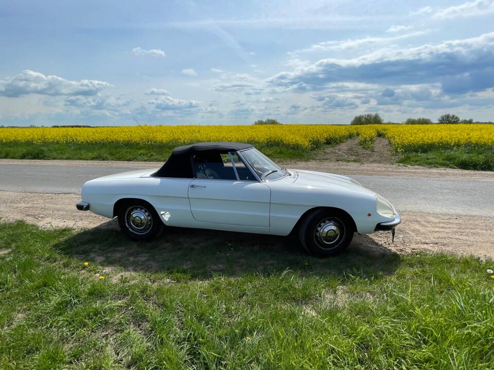 Bild 22/29 von Alfa Romeo Spider 1300 Junior (1971)