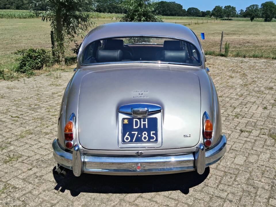 Bild 6/6 von Jaguar Mk II 2.4 (1963)