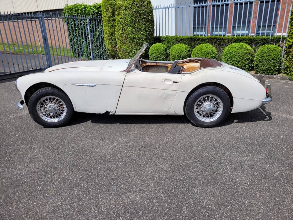 Bild 6/16 von Austin-Healey 3000 Mk I (BT7) (1960)