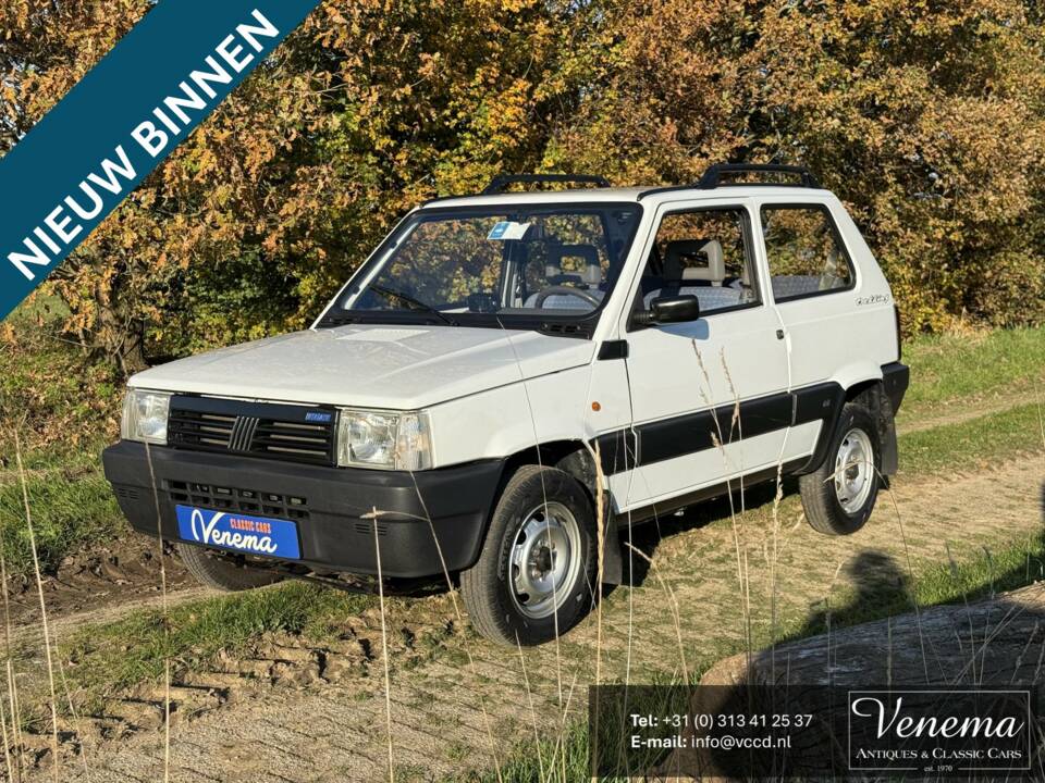 Imagen 1/16 de FIAT Panda 4x4 (1995)