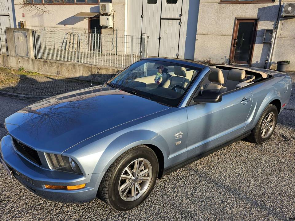 Immagine 15/34 di Ford Mustang V6 (2005)