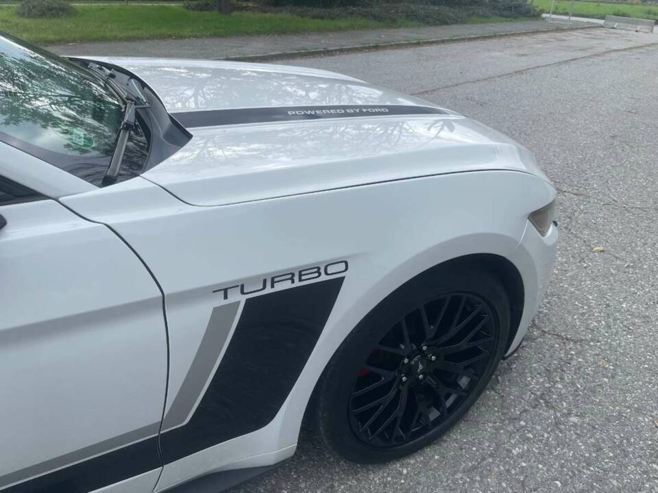 Bild 1/11 von Ford Mustang 2.3 Ecoboost (2016)