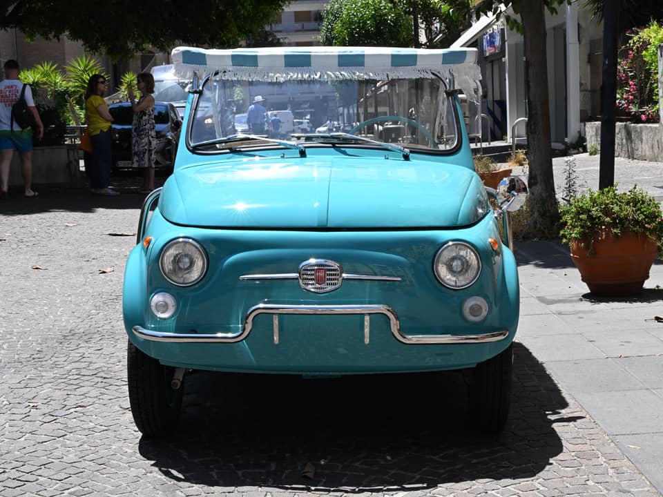Image 3/90 of FIAT Ghia 500 Jolly (1970)