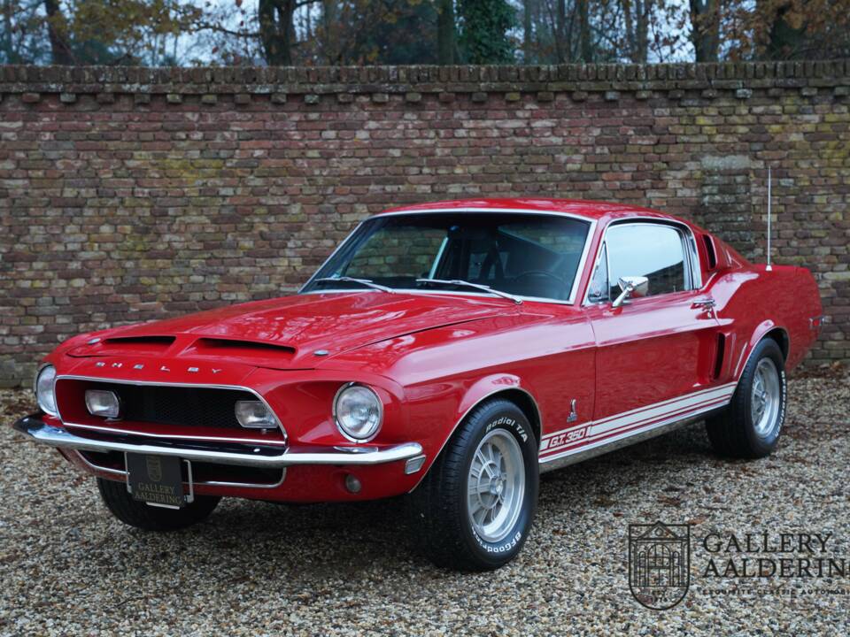 Bild 26/50 von Ford Shelby GT 350 (1968)