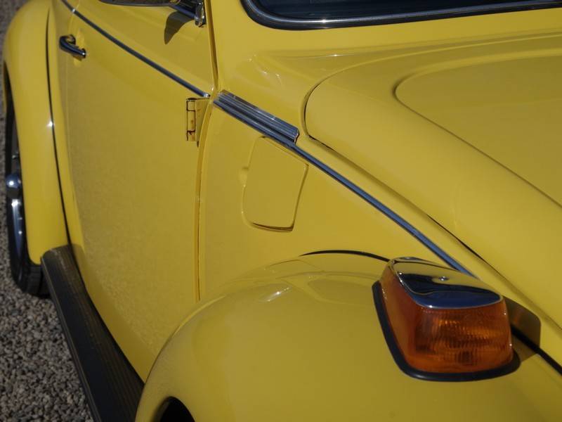 Bild 45/50 von Volkswagen Beetle 1600 (1976)
