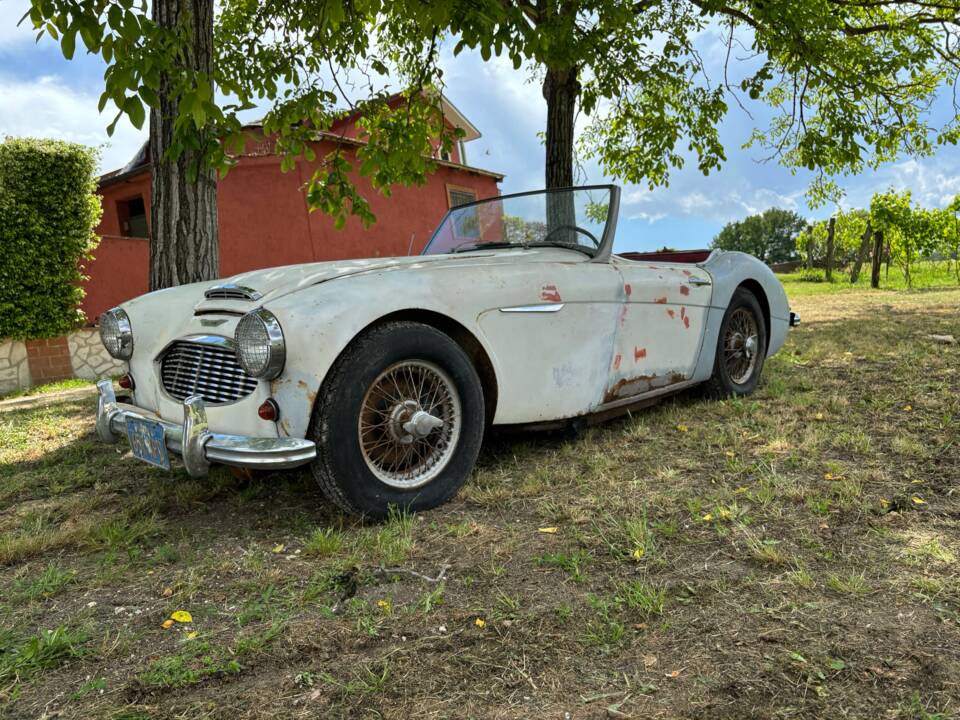 Bild 5/19 von Austin-Healey 3000 Mk I (BN7) (1960)