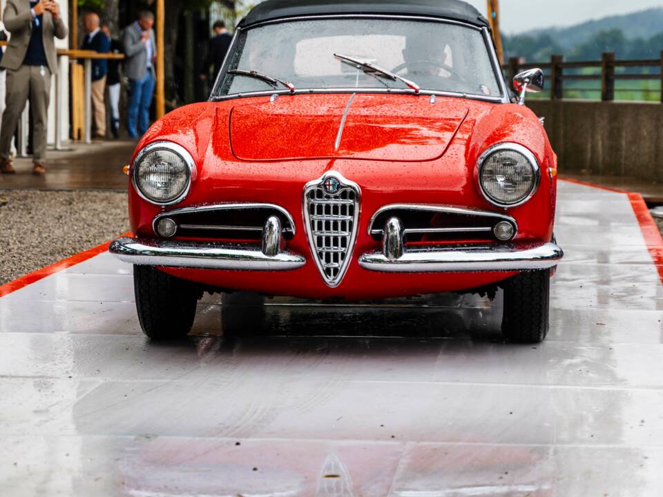 Bild 6/15 von Alfa Romeo Giulietta Spider Veloce (1961)