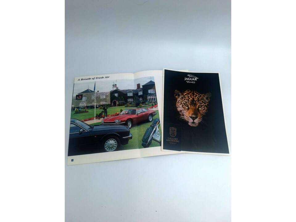 Obraz 10/50 pojazdu Jaguar XJS 4.0 (1994)