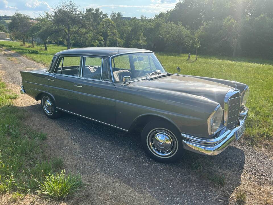Bild 7/8 von Mercedes-Benz 220 S b (1964)