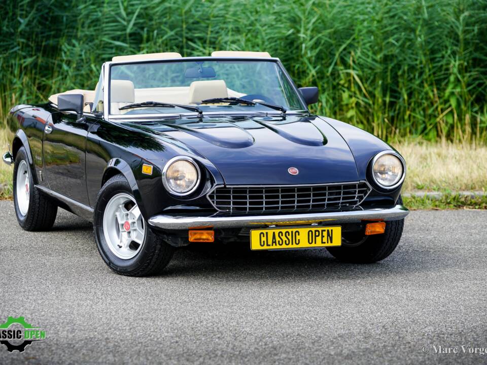 Image 12/42 of FIAT Spider 2000 (1981)