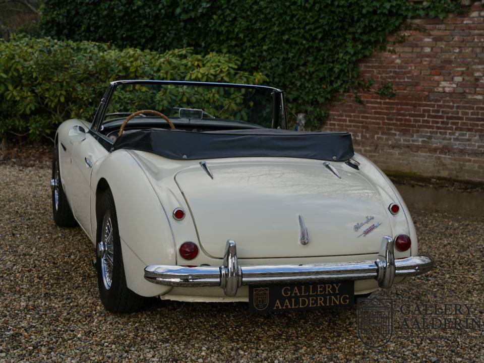 Imagen 48/50 de Austin-Healey 3000 Mk II (BJ7) (1963)