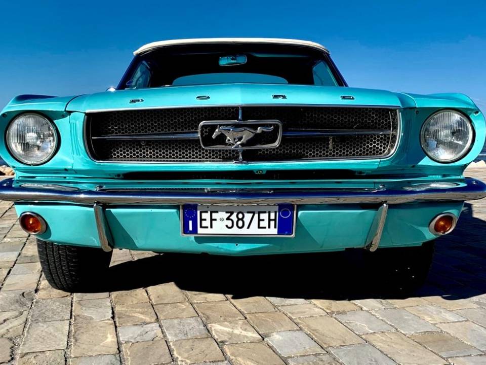 Bild 4/50 von Ford Mustang 289 (1965)