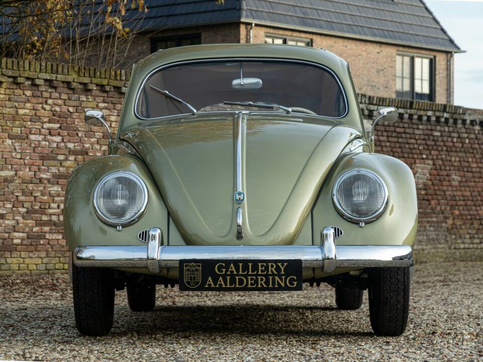 Bild 5/50 von Volkswagen Beetle 1200 Standard "Oval" (1956)