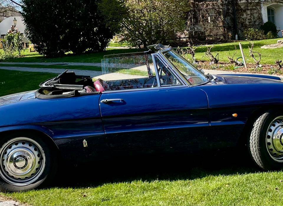 Image 1/5 of Alfa Romeo 1600 Spider Duetto (1966)