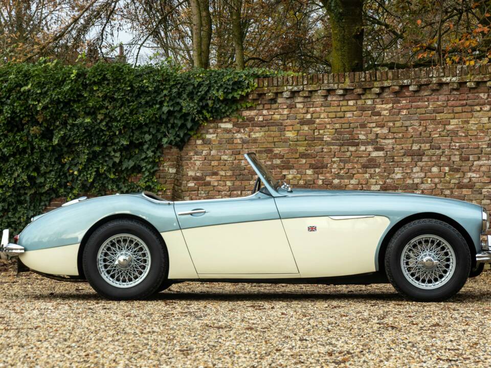 Bild 19/50 von Austin-Healey 3000 Mk I (BN7) (1960)