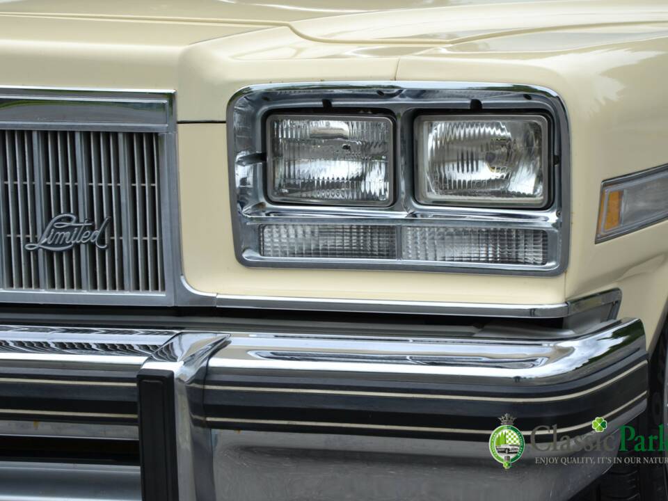 Immagine 49/50 di Buick Electra 225 Hardtop (1976)