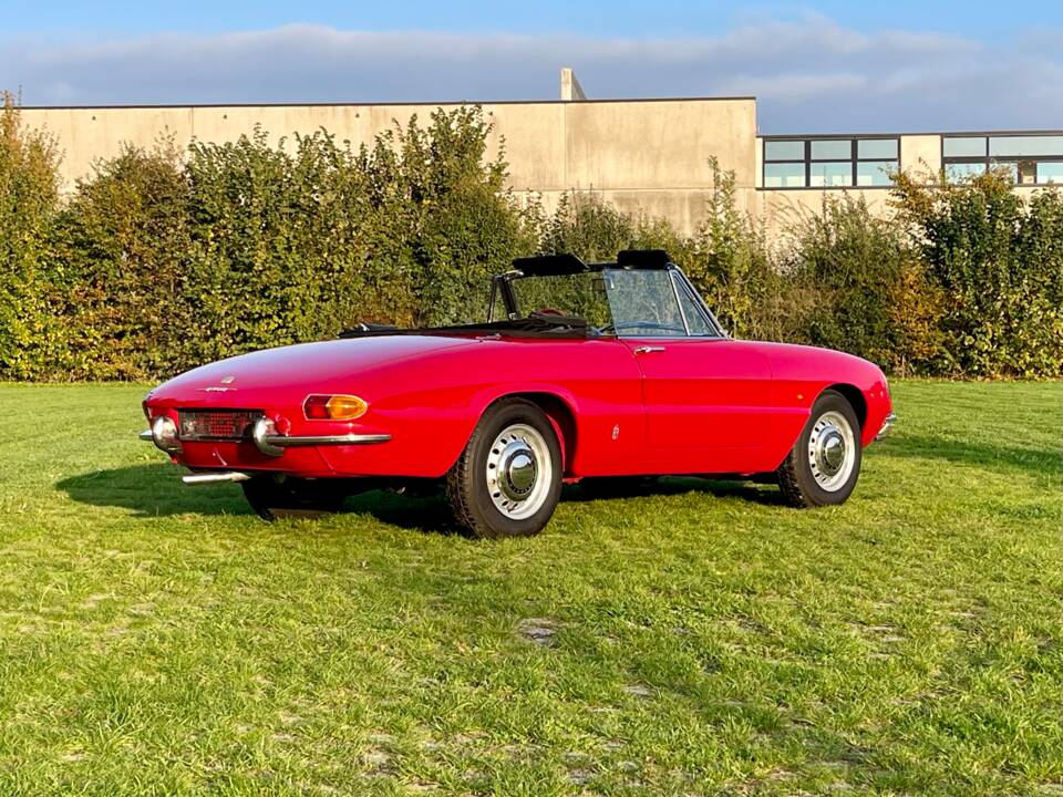 Image 9/28 of Alfa Romeo 1750 Spider Veloce (1968)