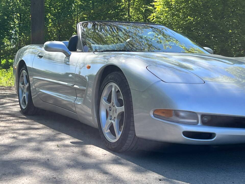 Image 5/50 of Chevrolet Corvette (2001)