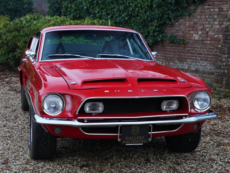 Image 48/50 de Ford Shelby GT 350 (1968)
